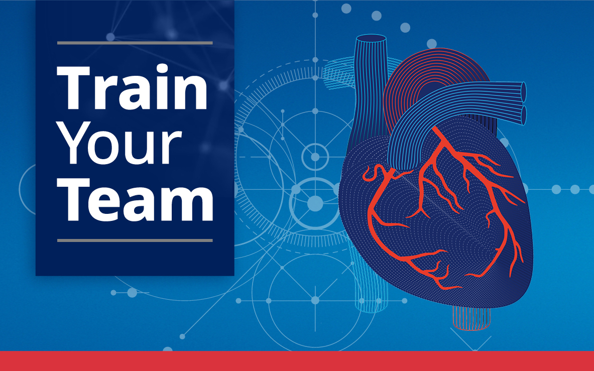Train your team